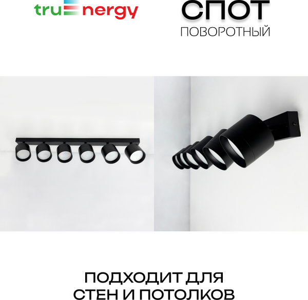 Изображение товара Спот Truenergy 21390