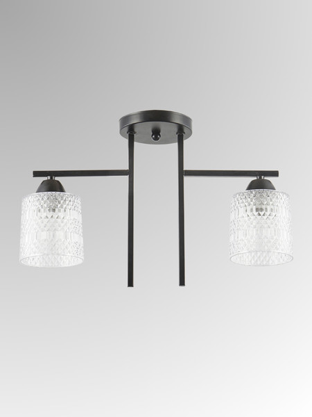 Изображение товара Потолочный светильник Aitin-Pro НПБ 02-2x40-101 / 6245/2 (черный)