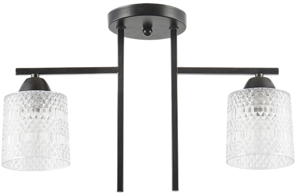 Изображение товара Потолочный светильник Aitin-Pro НПБ 02-2x40-101 / 6245/2 (черный)