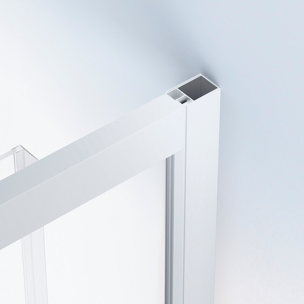 Изображение товара Душевая дверь Domani-Spa DoorCube 100x190 / DS04DCb100L0M00.W