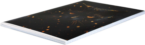 Изображение товара Тетрадь Феникс+ Кот-маг / 69615