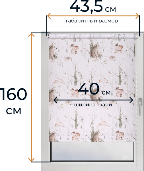 Изображение товара Рулонная штора Franc Gardiner Print Лесные друзья медведи, день 40х160 / 9403219114