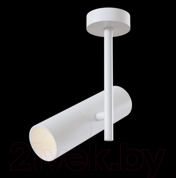 Изображение товара Спот Maytoni Elti C020CL-01W