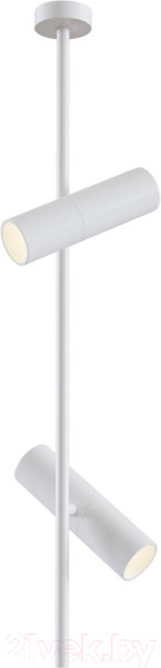 Изображение товара Потолочный светильник Maytoni Elti C021CL-02W