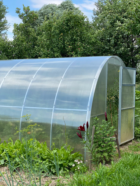 Изображение товара Теплица Садовод Элит ОТ 0.51 кг/м2 (8м)