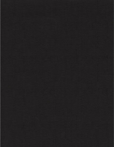 Изображение товара Рулонная штора Delfa Сантайм Лен СРШ-01 МЭД2681 (52x160, черный)