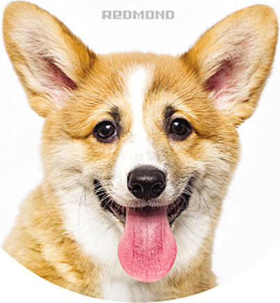 Изображение товара Крышка для робота-пылесоса Redmond VRC1300 (корги)