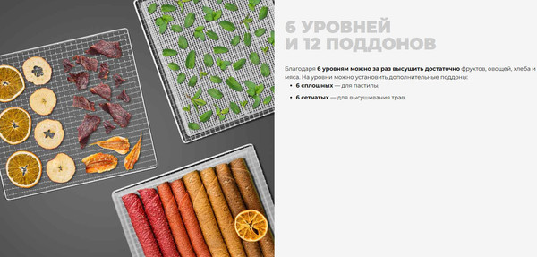 Изображение товара Сушильный шкаф для овощей и фруктов Redmond FD1105 (бежевый)