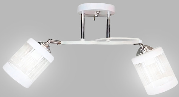 Изображение товара Спот Aitin-Pro НПБ 02-2x60-101 / N6211/2 (белый/хром)