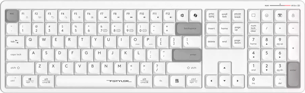 Изображение товара Клавиатура A4Tech Fstyler FBX55C (белый)