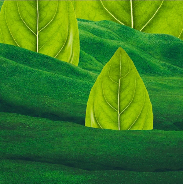 Изображение товара Парфюмерная вода Hermetica Greenlion (50мл)