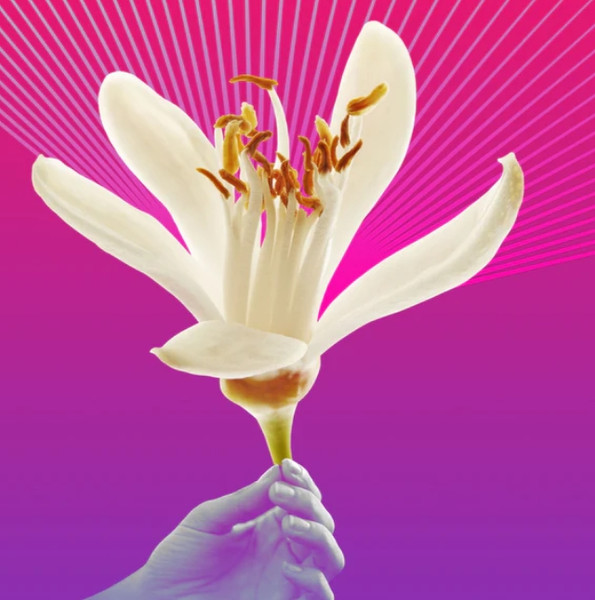 Изображение товара Парфюмерная вода Hermetica Megaflower (50мл)