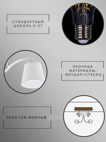 Изображение товара Потолочный светильник Aitin-Pro НПБ 02-2х60-101 / N3532/2 (белый/хром)