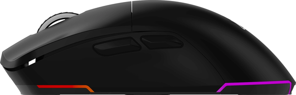 Изображение товара Мышь Оклик 900GMW (черный)