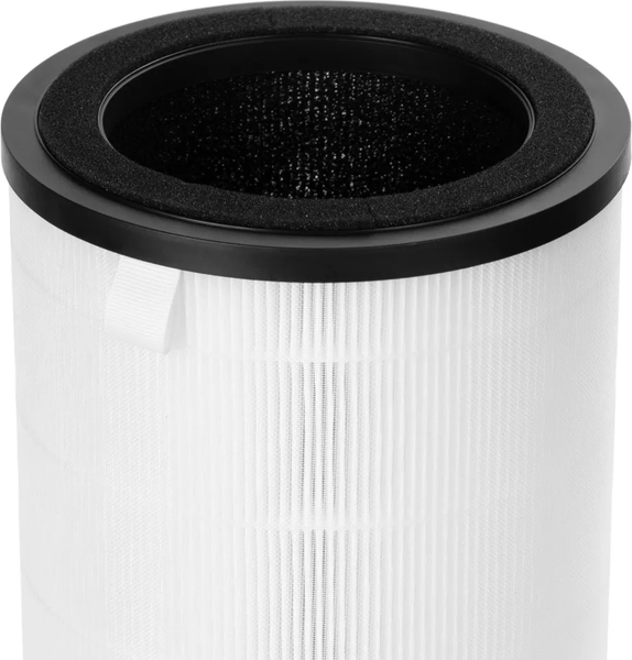 Изображение товара Фильтр для очистителя воздуха Electrolux FAP-2050 Anti Dust