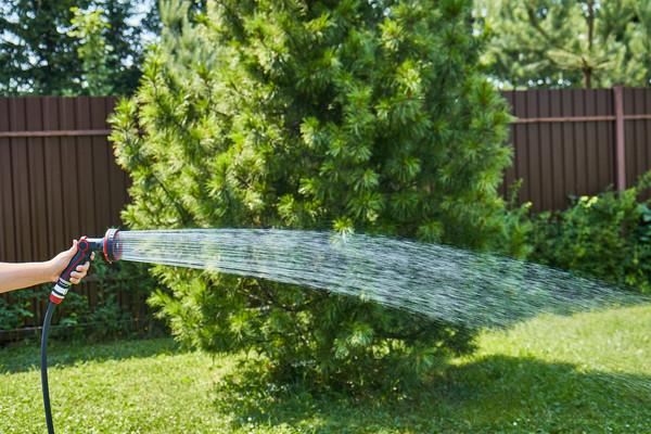 Изображение товара Распылитель для полива Elitech SG 009M / 206064