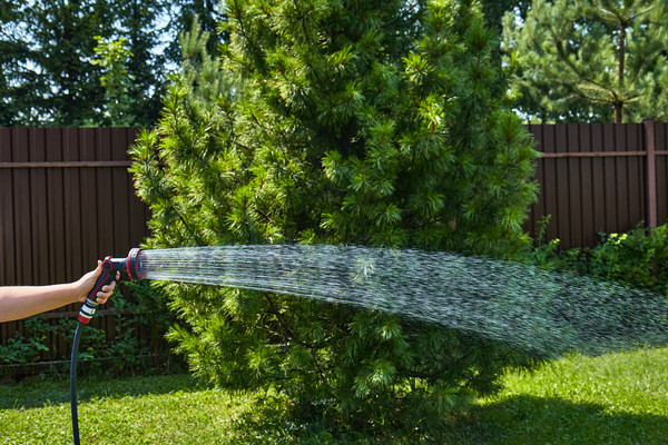 Изображение товара Распылитель для полива Elitech SG 009M / 206064