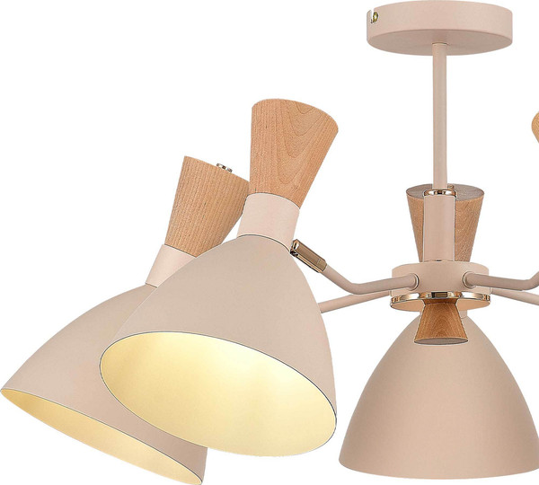 Изображение товара Люстра Evoluce SLE1256-502-05