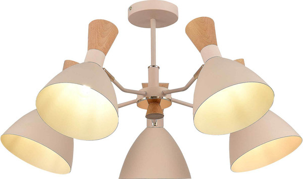 Изображение товара Люстра Evoluce SLE1256-502-05