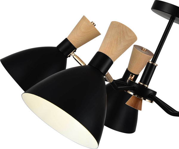 Изображение товара Люстра Evoluce SLE1256-402-05