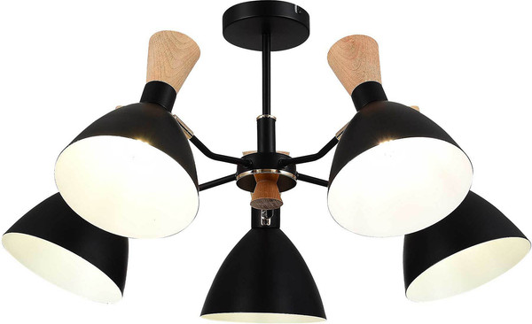 Изображение товара Люстра Evoluce SLE1256-402-05