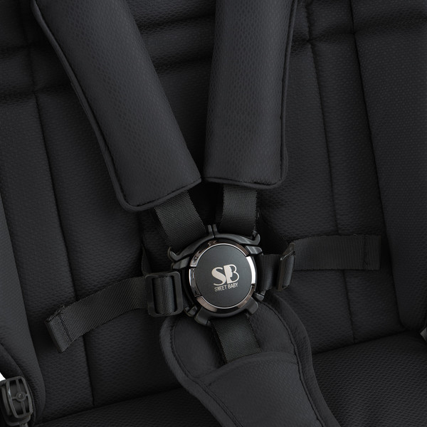 Изображение товара Детская универсальная коляска Sweet Baby Ricci Air 2в1 (черный)