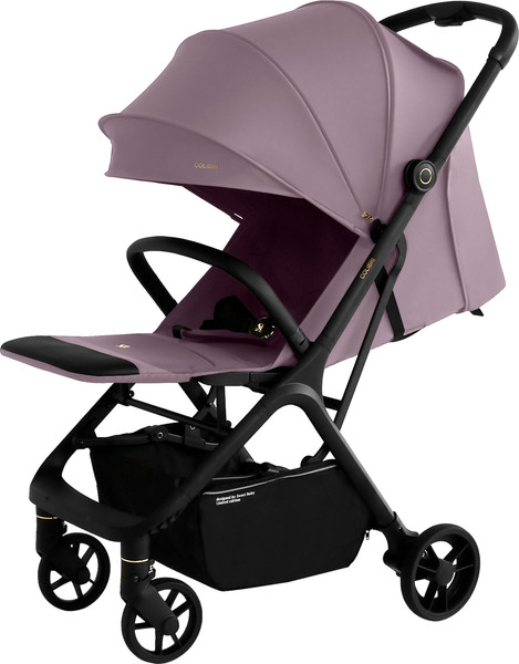 Изображение товара Детская прогулочная коляска Sweet Baby Colibri (роза)