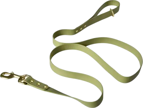 Изображение товара Поводок Red Bow YL129381-A (зеленый)