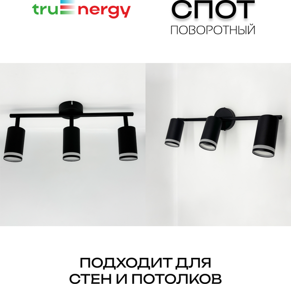 Изображение товара Спот Truenergy 21463