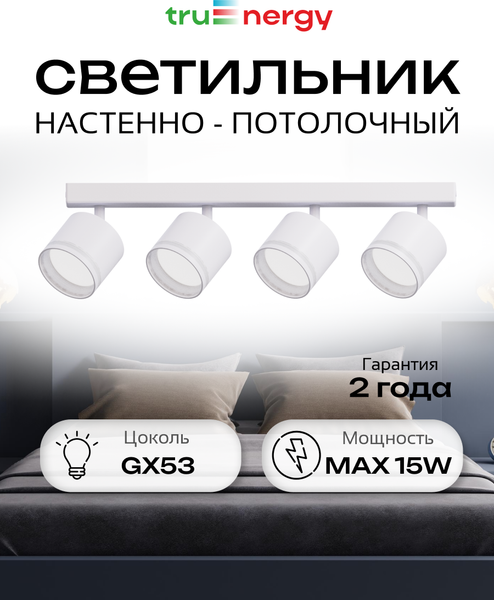 Изображение товара Спот Truenergy 21393