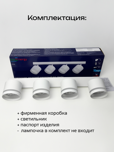 Изображение товара Спот Truenergy 21393