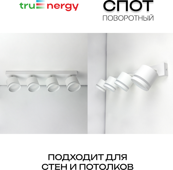 Изображение товара Спот Truenergy 21393