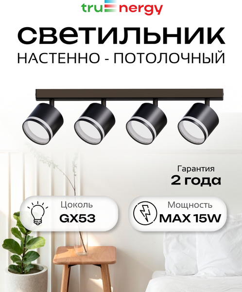 Изображение товара Спот Truenergy 21394