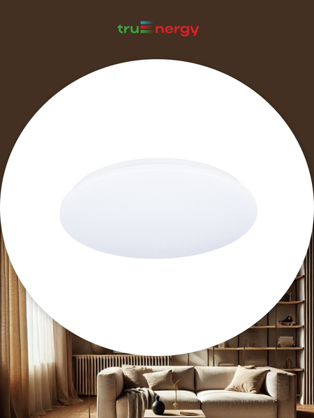 Изображение товара Потолочный светильник Truenergy 11209