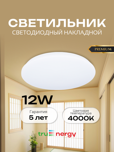 Изображение товара Потолочный светильник Truenergy 11210