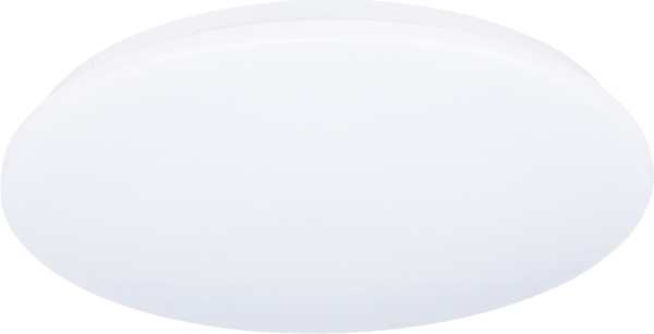 Потолочный светильник Truenergy 11210