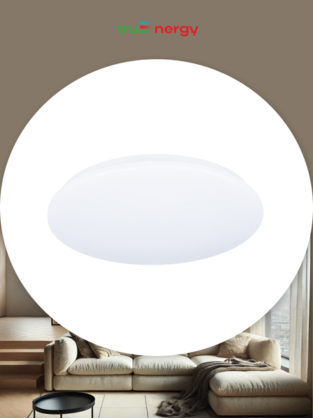 Изображение товара Потолочный светильник Truenergy 11210