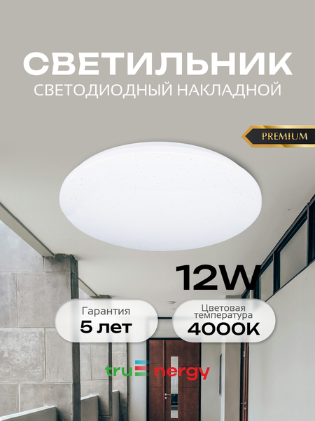 Изображение товара Потолочный светильник Truenergy 11214