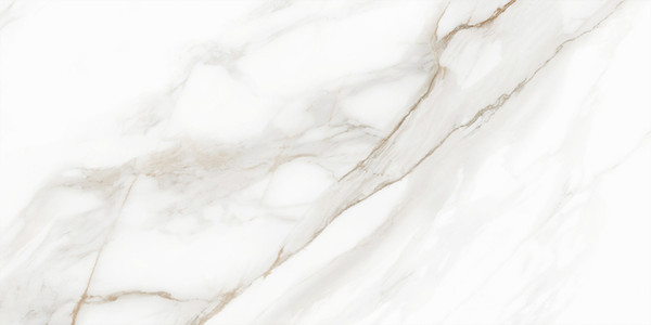 Изображение товара Плитка Delacora Calacatta Andrea D120210M (1200x600)