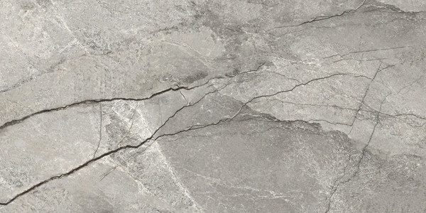 Изображение товара Плитка Delacora Oregon Gray D12050M (1200x600)