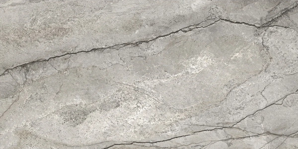 Изображение товара Плитка Delacora Oregon Gray D12050M (1200x600)