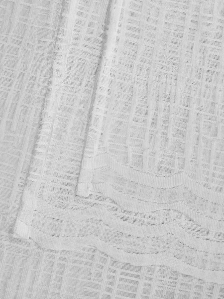 Изображение товара Гардина Arya Elite 400x250 / 8001885870513 (белый)