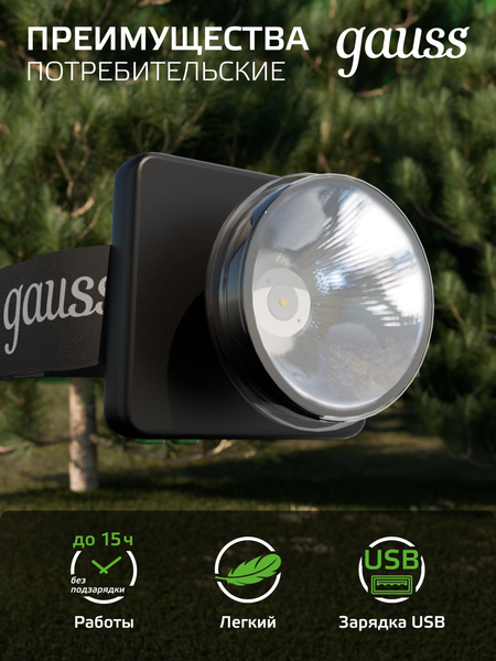 Изображение товара Фонарь Gauss GFL401 / GF401