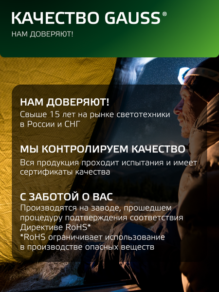 Изображение товара Фонарь Gauss GFL401 / GF401