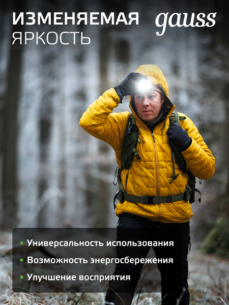 Изображение товара Фонарь Gauss GFL401 / GF401