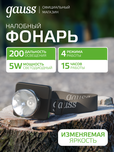 Изображение товара Фонарь Gauss GFL401 / GF401