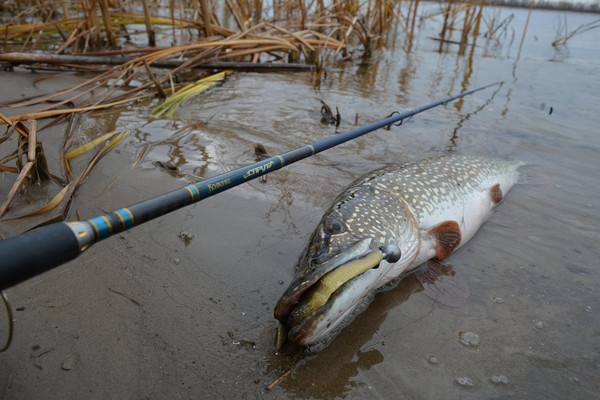 Изображение товара Спиннинг Волжанка Спрут тест 7-28гр / 024-0062 (2.7м)
