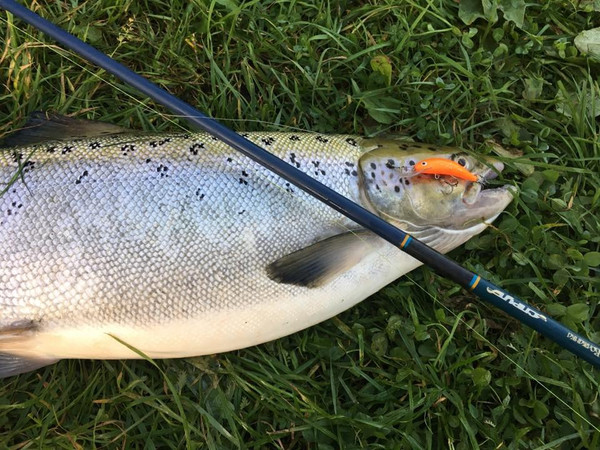 Изображение товара Спиннинг Волжанка Спрут тест 7-28гр / 024-0062 (2.7м)