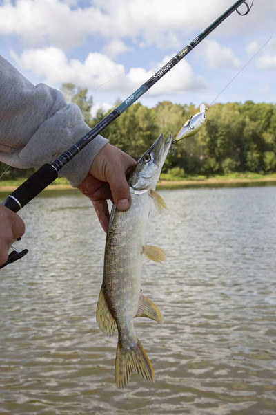 Изображение товара Спиннинг Волжанка Pro Sport Sensor тест 6-32гр /  025-0111 (2.45м)