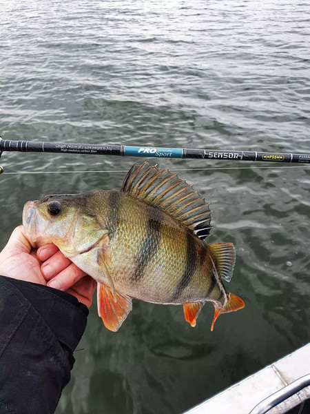 Изображение товара Спиннинг Волжанка Pro Sport Sensor тест 6-32гр /  025-0111 (2.45м)